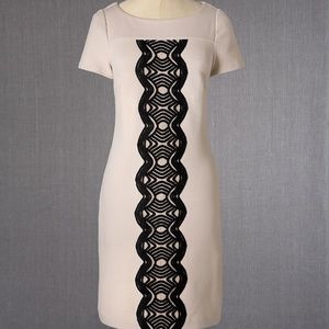 Boden Size 8 Beige Ponte Lace Detail Dress